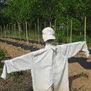 평우농장 이미지