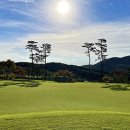 루트52CC 이미지