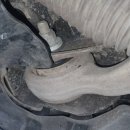 딥모터스 이미지