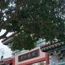 서복전시관-주차장 이미지