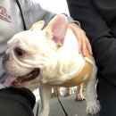 봉오대로556번길 이미지