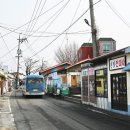 영풍농약사 이미지