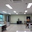 금암초등학교 이미지