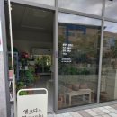 세븐일레븐 울산장검 푸르지오 | 눈에 확 들어오는 대품 다바나 고사리 울산꽃집 엘로디플라워