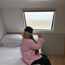 한마음쌀정육점 | 감성카라반글램핑, 서해바다가 보이는 태안숙소 한마음오션플레이스