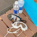 수경 | 베트남 여행 준비물 성인 와이드 물안경 스네프 타입 가성비 수경 후기