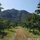 헌수농장 이미지