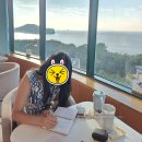 [대부도카페 추천] 바르바커피 타워360 – 안산 오션뷰 베이커리카페 후기