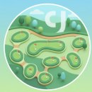 영덕군 시설체육사업소(해맞이공원) | 영해 파크골프장 이용 가이드: 예약부터 위치, 요금, 주차장 정보까지