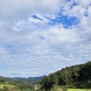 베뉴지CC 이미지