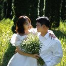 산림자원연구소 | 나주 산림자원연구소 웨딩 스냅 후기, 자연광 야외 촬영 장소 추천