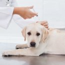 토평동물병원 이미지