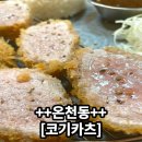 코기카츠