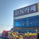 디엔예스