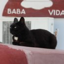 미클린의원 이미지