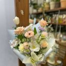 수피아플라워 이미지