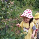 7월 14일 블루베리 농장에 다녀왔어요~! 이미지