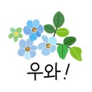 카테일링 이미지