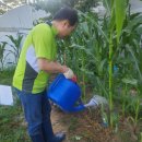 수서농장 이미지