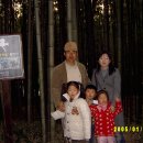 담양 대나무 테마공원에서 광한루까지.. 이미지