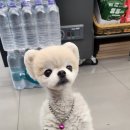 현송한의원 이미지