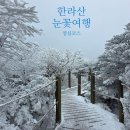 애월읍사무소 | 한라산 영실코스 겨울 산행 후기, 윗세오름 설경과 소요시간 주차장 정리