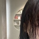 디자이너 재은 | 해운대 미용실 '담다헤어 부산해운대점' 애쉬브라운 염색 재은 수석디자이너