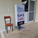 귤나방 이미지
