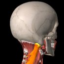자연한의원 이미지