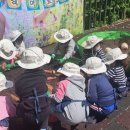 크레아트스쿨어린이집 이미지