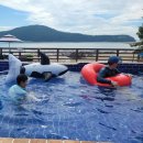 오션펜션 이미지