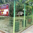 뽀뽀애견농장 이미지