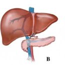 신사동물병원 이미지