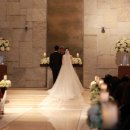 빌라드화이트 이미지