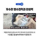 엠비헤어 네이버블로그