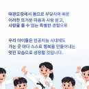 해피언스