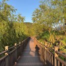 에코랜드수영장 풋살구장 이미지