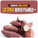 강원마트