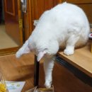 브릭빌리지 이미지