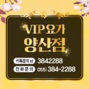 브이아이피(V.I.P)헤어 | 물금 요가 VIP범어 플라잉 제일 핫한이유!