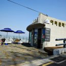 누리아미 이미지