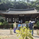 달성배씨 육현(六賢)을 기리는 고성 수림서원 향나무 이미지
