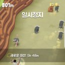 로데오하마 이미지