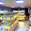 베타봉봉 이미지