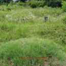 상주산소 이미지