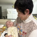 "홍하사의 잡다한 이야기"---(1532) "인생 이야기"---(347) "74년의 기막힌 인연" &amp; "코알라 가족" 이미지