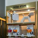 타임메디컬 | [대전2차동물병원] 24시 타임동물메디컬센터의 아쉬웠던 치료 후기(강아지 이물섭취/파스섭취)