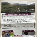 양구아로니아