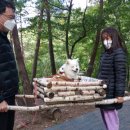 검마산자연휴양림 이미지