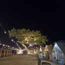 더바베큐캠프 | [아산 맛집] 밤이 더 아름다운 감성 바베큐, '스카이 캠프' 솔직 후기!